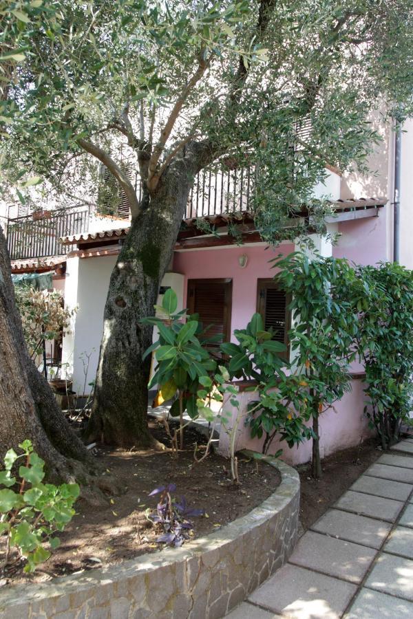 Hotel Santaclara Camerota Esterno foto